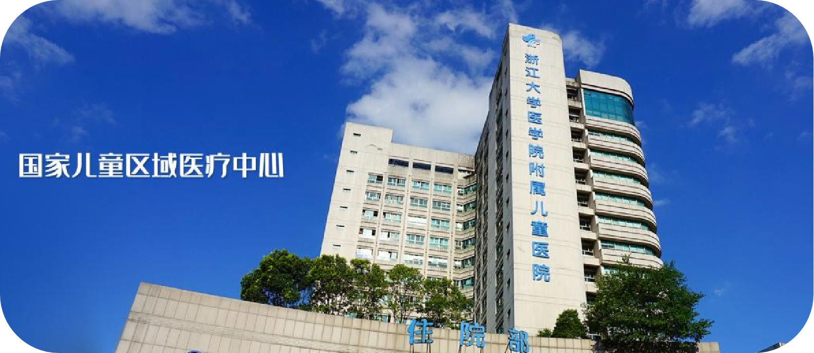 品牌型网站建设